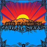 The Harvest - Tribal Seeds